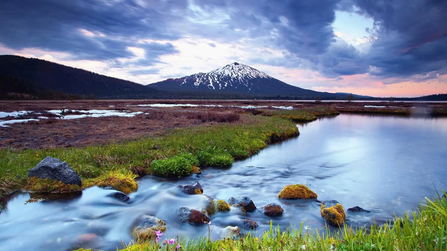 新型高标准