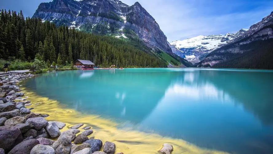 先进独特新型